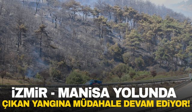 İzmir - Manisa kara yolunda meydana gelen yangına müdahale devam ediyor