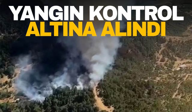 İzmir Ödemiş'te çıkan orman yangını kontrol altına alındı