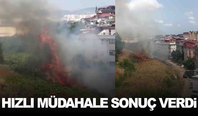 İzmir Sancaktepe’de orman yangını!