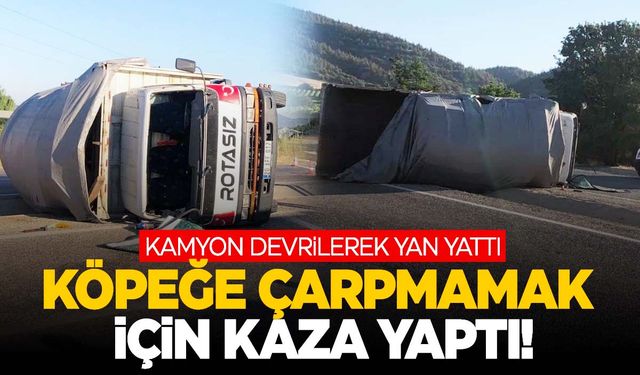 Manisa'da köpeğe çarpmamak için direksiyonu kırdı… Kamyon devrildi: 2 yaralı