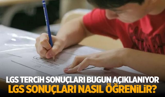 LGS Tercih Sonuçları Açıklanıyor! İşte 2024 LGS Tercih Sonucu Sorgulama Ekranı