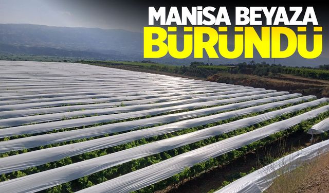 Manisa beyaza bürünüyor! Bağlarda ekipler kuruldu