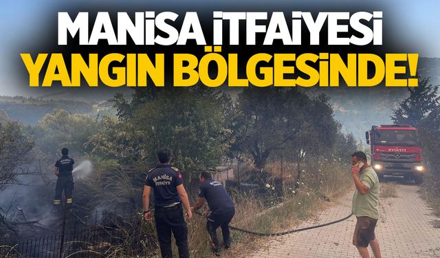 Manisa İtfaiyesi yangın bölgesinde