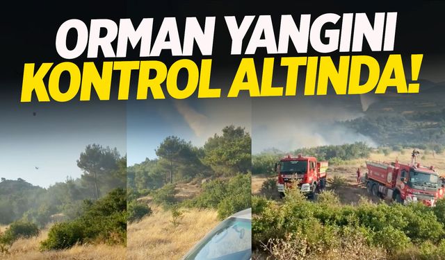 Manisa-Kırkağaç orman yangını kontrol altında