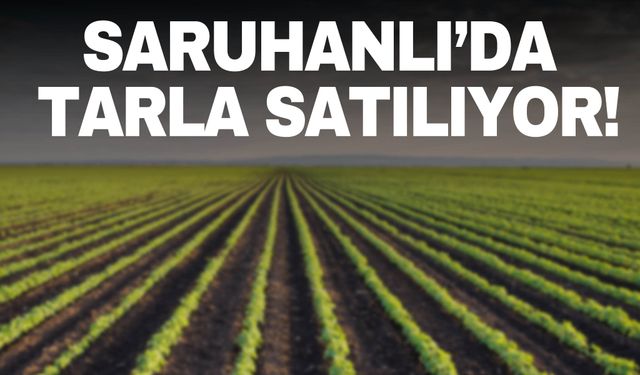 Manisa Saruhanlı’da tarla satılıyor!