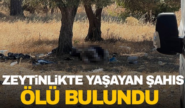 Manisa’da 15 yıldır zeytinlikteki çadırda yaşıyordu… Ölü bulundu