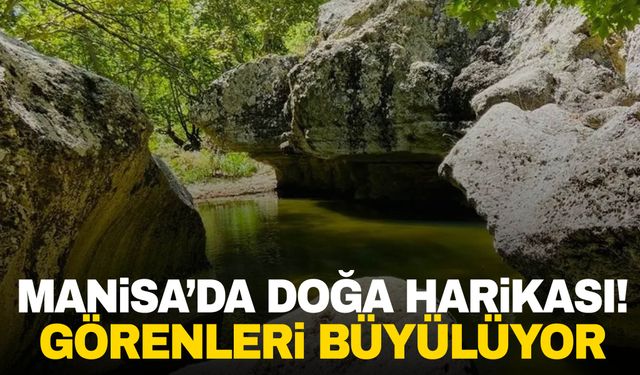 Manisa’da bir doğa harikası… Doğaseverlerin uğrak noktası oldu!