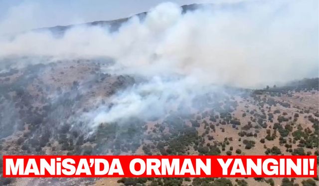 Manisa'da orman yangını! Müdahale sürüyor…