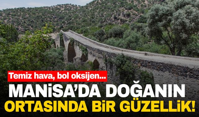 Manisa’da tarihe meydan okuyan bir güzellik! Sizi yeşille buluşturuyor…