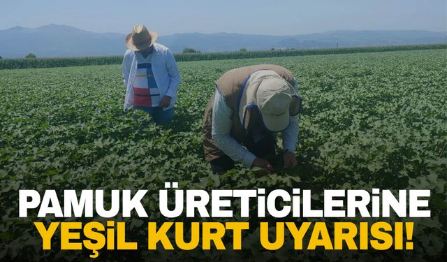 Manisalı pamuk üreticilerine yeşil kurt uyarısı