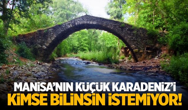 Manisa'nın Küçük Karadeniz'i: Çakıcı Köprüsü ve Çıplak Değirmen