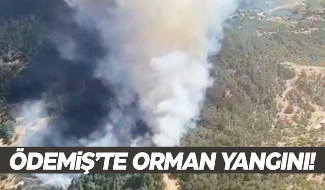 Ödemiş’te orman yangını! Ekipler müdahale ediyor!