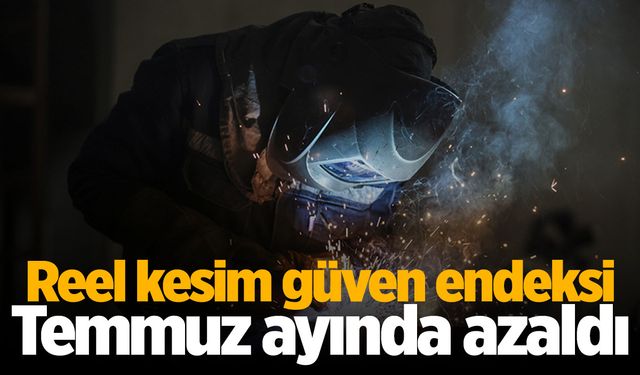 Reel kesim güven endeksi azaldı | Temmuz 2024