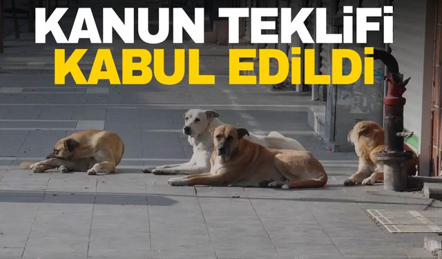 Sahipsiz sokak hayvanlarına ilişkin kanun teklifi TBMM Genel Kurulu’nda kabul edildi