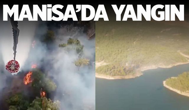 Seyitli Barajı yakınında orman yangını