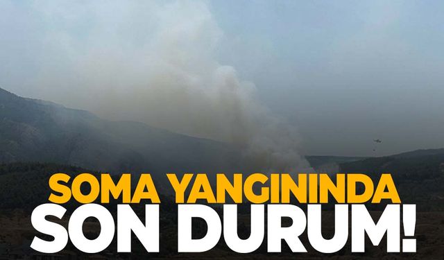 Soma'da orman yangını kontrol altında