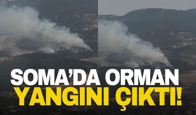 Soma’da korkutan orman yangını!