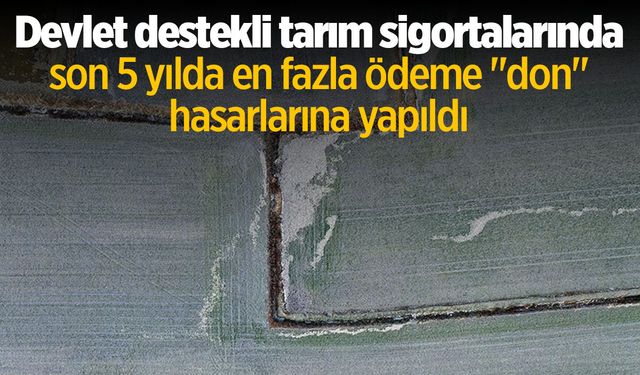 Tarımda en fazla ödeme 'don' hasarına yapıldı