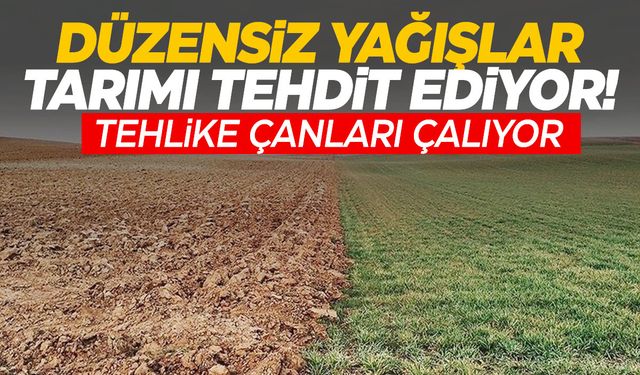 Ege’de yağışlar yüzde 54 azaldı… Tarımı tehdit ediyor!