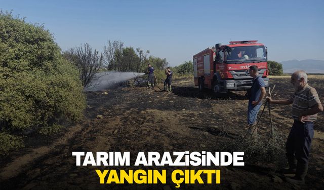 Turgutlu'da tarım arazisinde yangın çıktı!