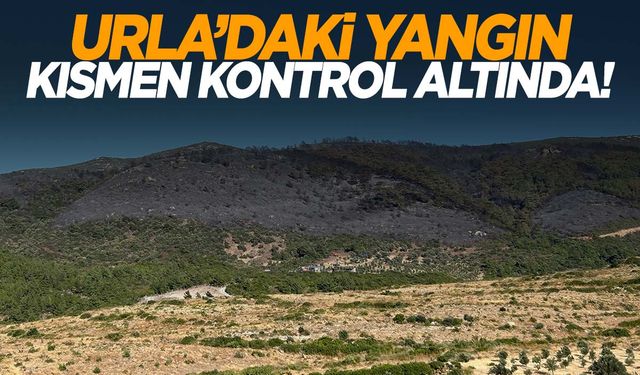 Urla yangını kısmen kontrol altında… 1 kişi gözaltına alındı!