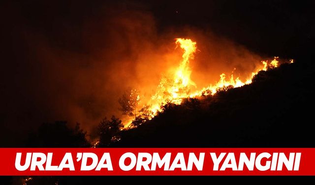 Urla yanıyor! Bazı evler ve tatilciler tahliye edildi!