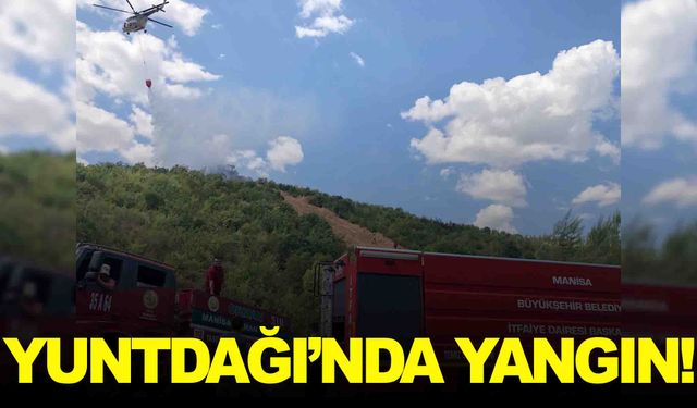 Yuntdağı’nda yangın çıktı… Avdal ve Büyüksümbüller arasında…