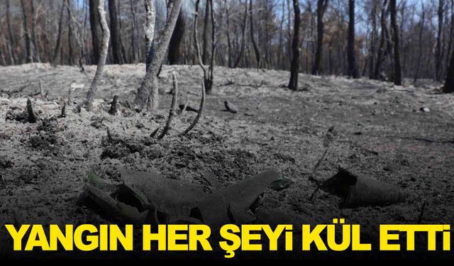 İzmir'deki yangından geriye yürek yakan görüntüler kaldı