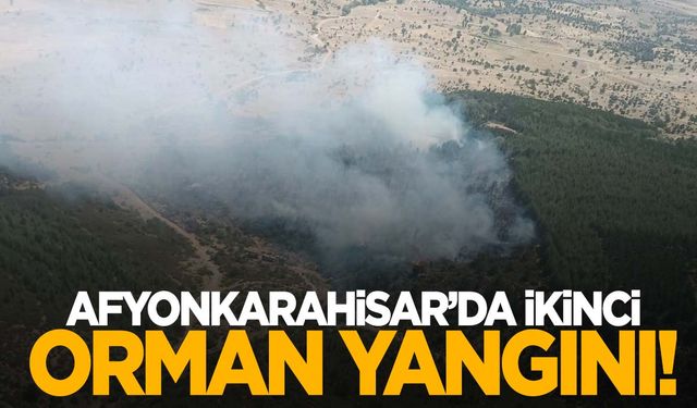 Afyonkarahisar’da ikinci orman yangını… Ekipler müdahale ediyor!