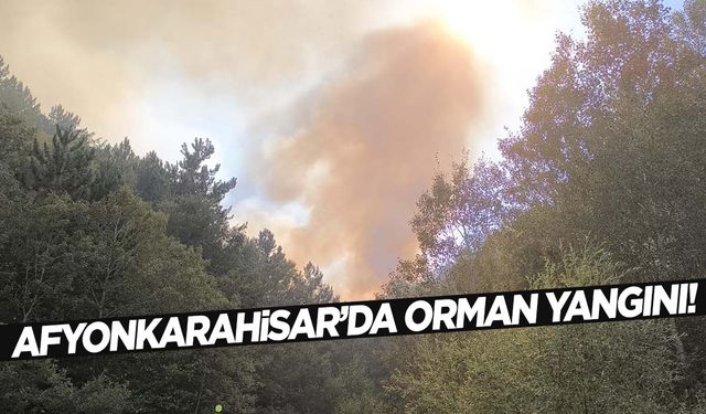 Afyonkarahisar’da orman yangını