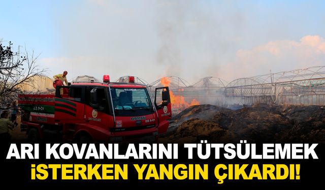 Arı kovanlarını tütsülemek istedi! Ateş ormana sıçradı bir ev ve traktör küle döndü