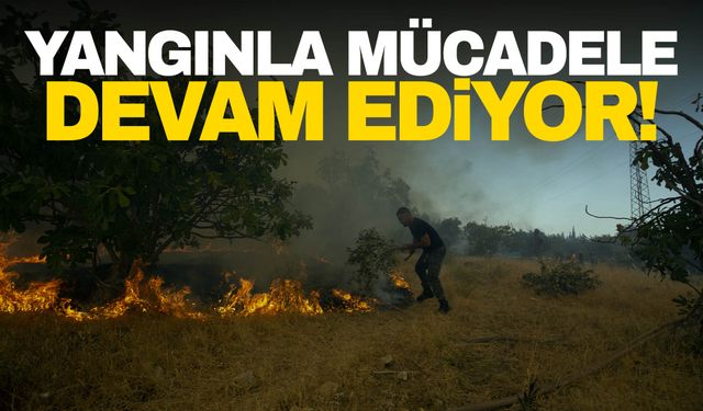 Aydın dünden beri yanıyor! Müdahale devam ediyor