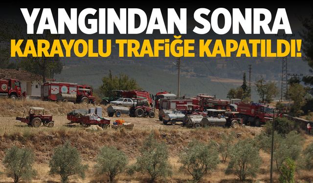 Aydın ve Muğla'da yangın var! Karayolu trafiğe kapatıldı!