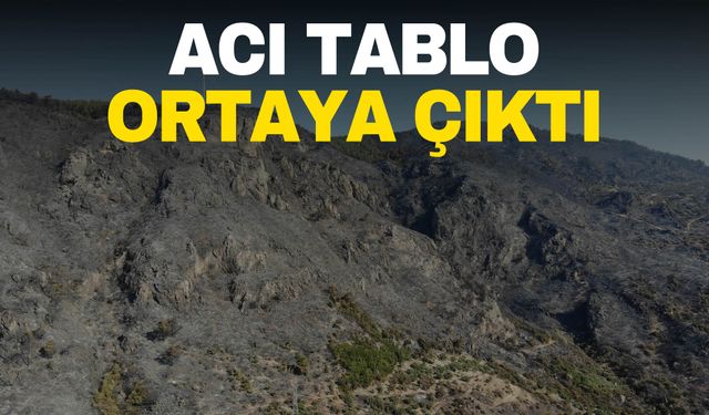 Aydın yangınının acı tablosu ortaya çıktı