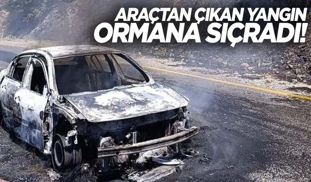 Aydın’da otomobilden çıkan yangın ormana sıçradı!