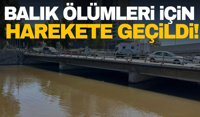 Bakanlık İzmir Körfezi’ndeki balık ölümleri için harekete geçti!