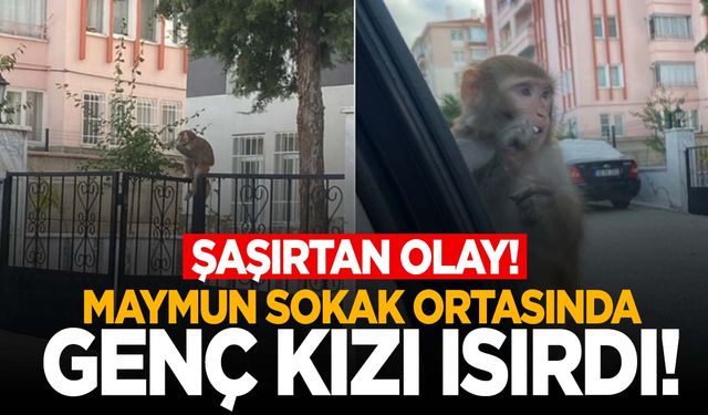 Bir ilde maymun alarmı! Firari maymun saldırdığı genç kızı hastanelik etti!