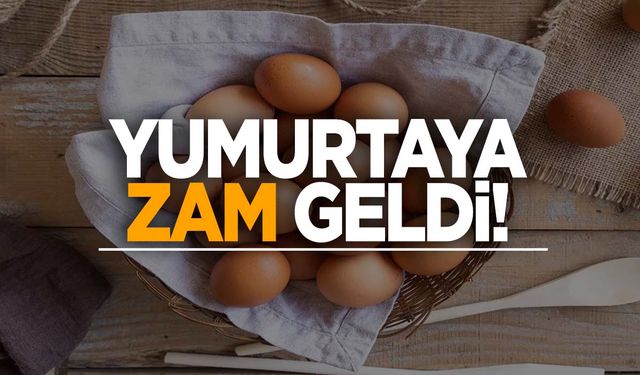 Bir zam şoku daha… Bu kez yumurta!