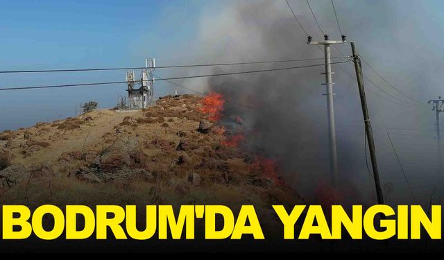 Bodrum'da yangın… Akyarlar alevler içinde kaldı