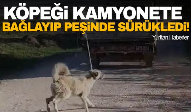 Böyle vicdansızlık görülmedi! Köpeği kamyonete bağlayıp peşinde sürükledi