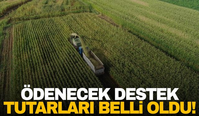 Çiftçiler müjde! Bu yıl ödenecek destek tutarları belli oldu!