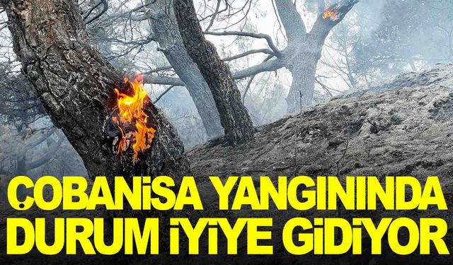 Çobanisa yangınında durum iyiye gidiyor… Vatandaş da bölgede!