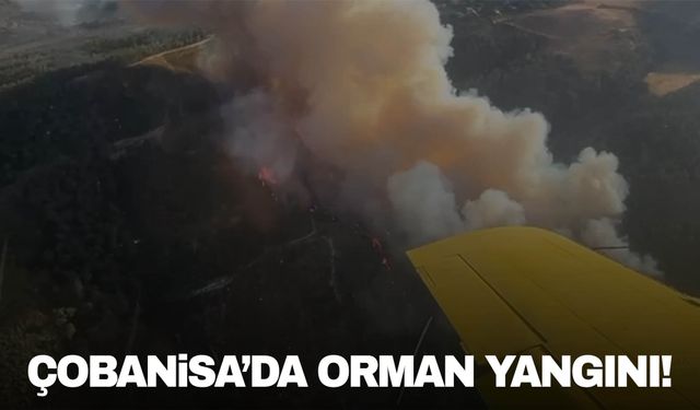 Çobanisa’da orman yangını çıktı