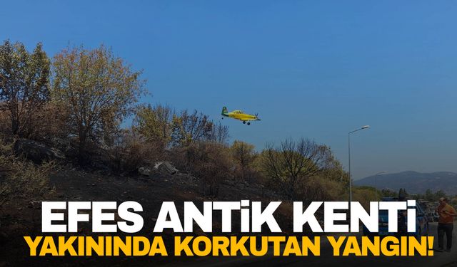 Efes Antik Kenti yakınında korkutan yangın