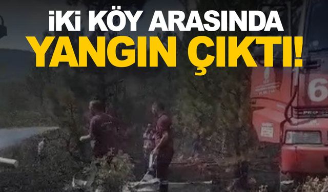 Kütahya'da iki köy arasında orman yangını çıktı!