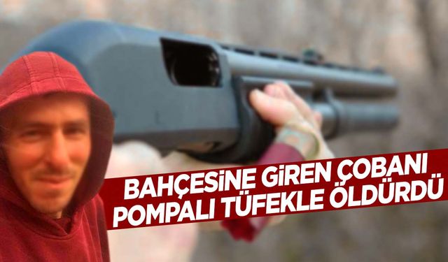 Ege’de koyun sürüsü bahçesine girdi diye… Yaşlı adam çobanı pompalı tüfekle öldürdü