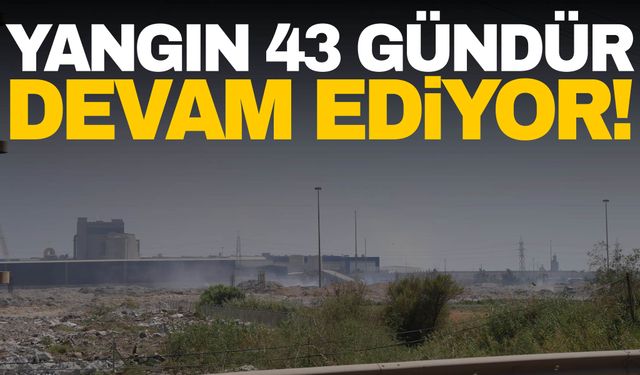 Ege’deki Kağıt Fabrikasındaki yangın 43 gündür devam ediyor