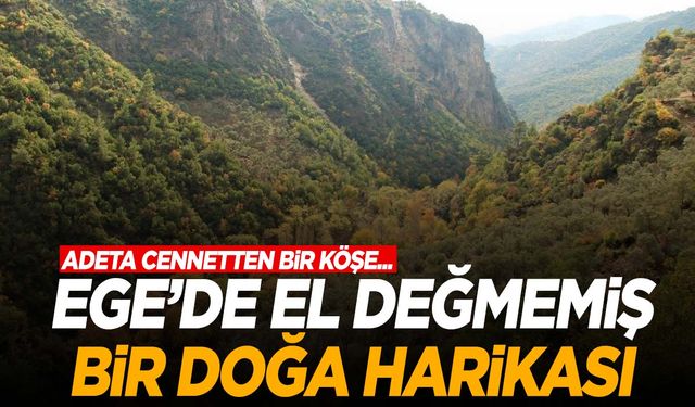 Ege’nin doğal kliması! Gören hayran kalıyor!