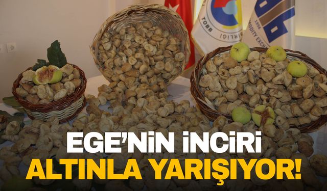 Ege’nin inciri altınla yarışıyor