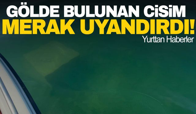 Gölde bulunan garip cisim merak konusu oldu